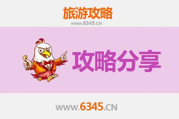 唐山丰润至湄洲岛旅游攻略：跟团 vs 自由行深度解析